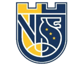 中新中学logo