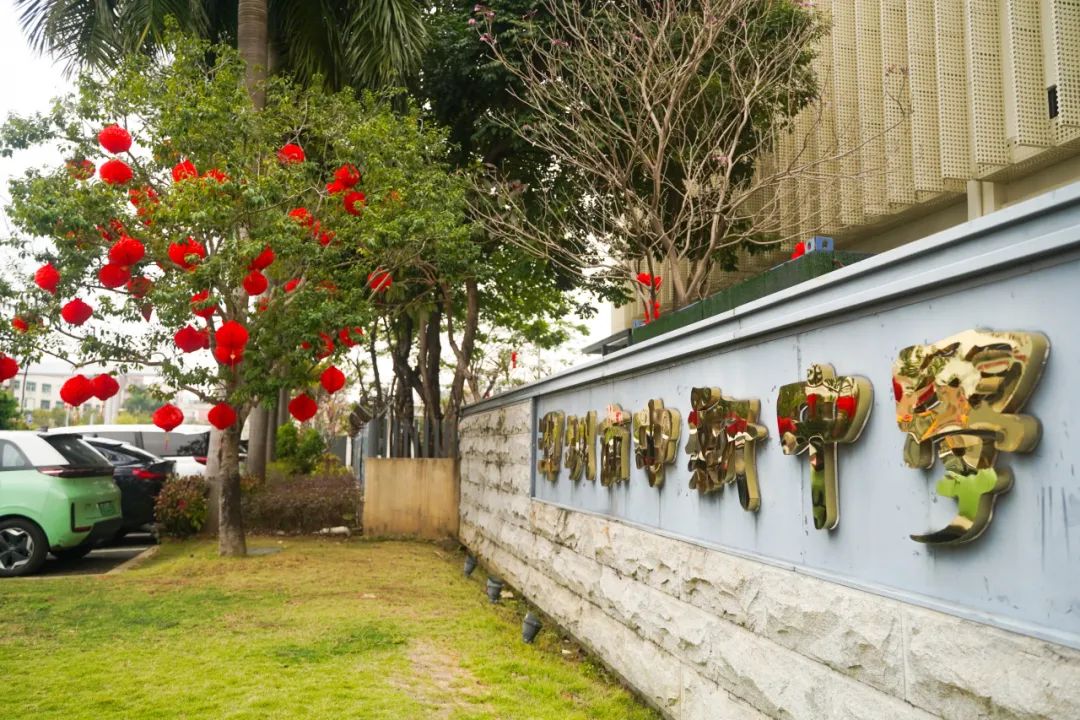 深圳中新中学官网