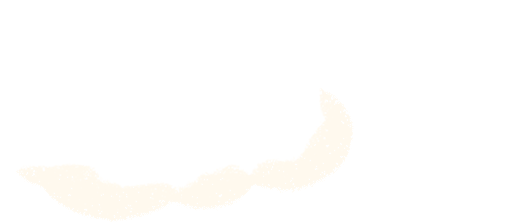 深圳中新中学