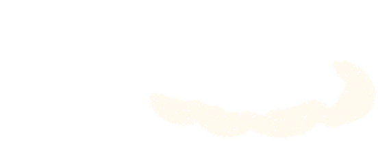 中新中学在哪里