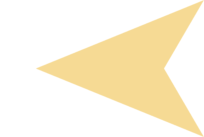 中新中学在哪里