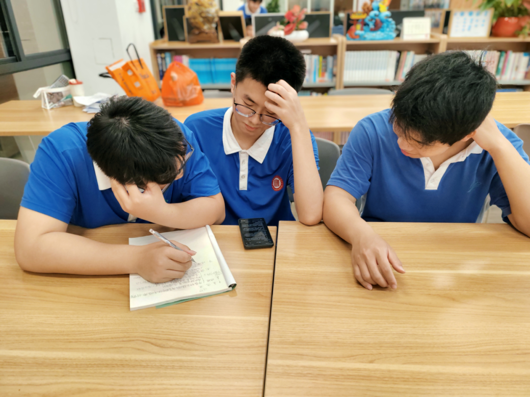 深圳中新中学学费多少