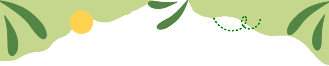 深圳市中新中学本科率