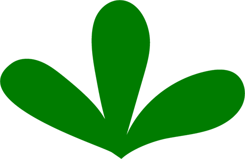 深圳市中新中学怎么样