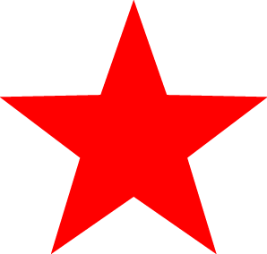 深圳市中新中学公办