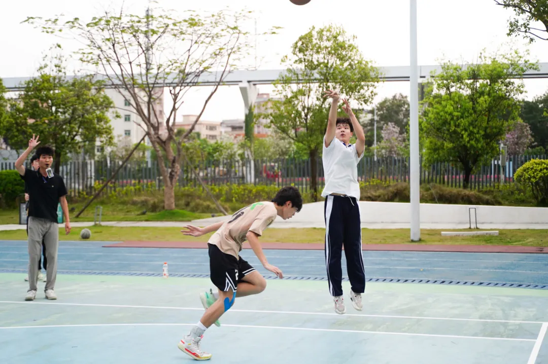 深圳市中新中学分数线